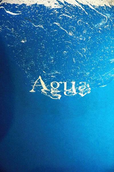 Agua usos abusos problemas soluciones
